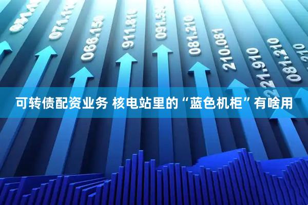 可转债配资业务 核电站里的“蓝色机柜”有啥用