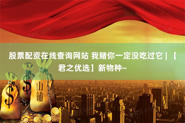 股票配资在线查询网站 我赌你一定没吃过它 | 【君之优选】新物种~