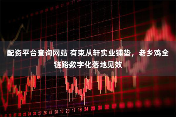 配资平台查询网站 有束从轩实业铺垫，老乡鸡全链路数字化落地见效
